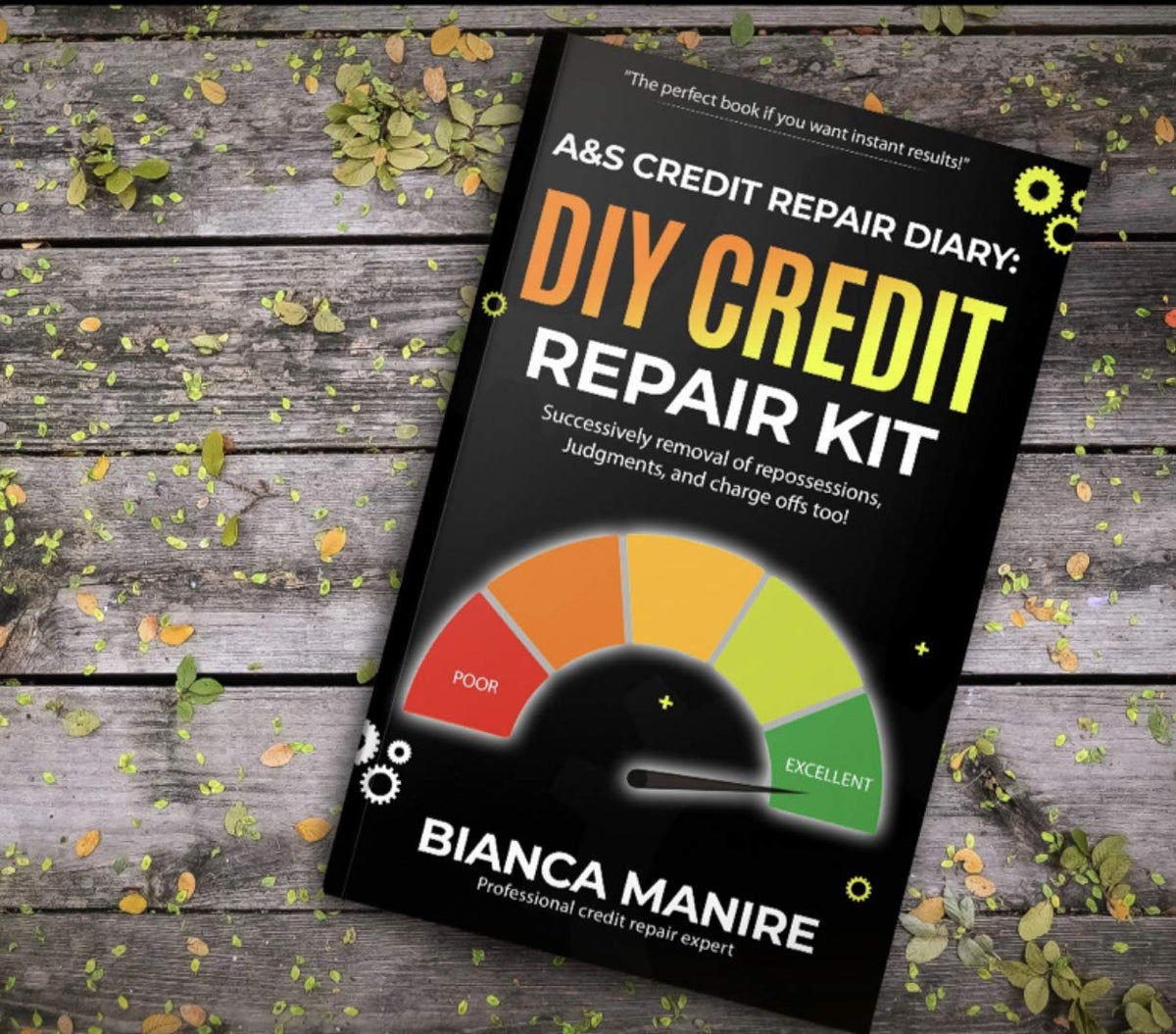 A&S Credit Repair Diary: DIY Credit Repair KIT