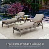 LOKATSE HOME Outdoor Patio Chaise Lounge Chair Cushion Furniture Reclining Adjustable with Armrest for Pool, Deck or Yard, Dark Gray