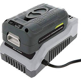 Snow Joe 2-Pack iBAT40 Ion EcoSharp 40 V 4.0 Ah Lithium-Ion Battery