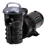 Pentair 340063 1.5HP 115V 12 Dynamo Pump