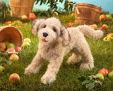 Folkmanis Puppet – Labradoodle