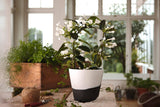 Wedgwood Burlington 6×22 Pot, Black u0026 White
