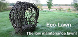 Eco-Lawn Grass Seed Blend Low Maintenance Lawn – 5lb Bag