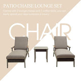 LOKATSE HOME Outdoor Patio Chaise Lounge Chair Cushion Furniture Reclining Adjustable with Armrest for Pool, Deck or Yard, Dark Gray