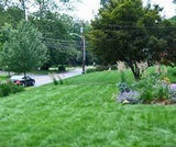 Eco-Lawn Grass Seed Blend Low Maintenance Lawn – 5lb Bag